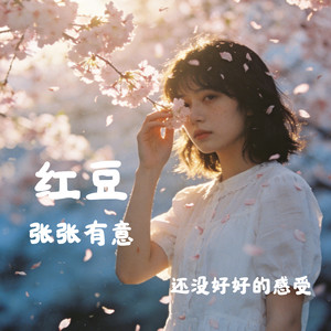 红豆（还没好好的感受）