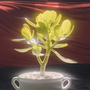 당신의 미소를 좋아합니다