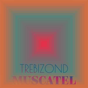 Armenians Melancholist