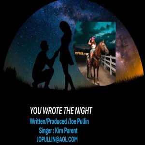 Joe Pullin - You Wrote The Night