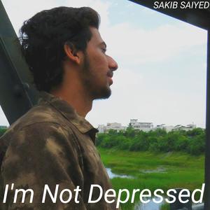 I'm Not Depressed