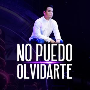 No puedo olvidarte