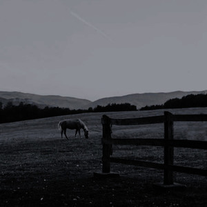 The Preacher (Acoustic)