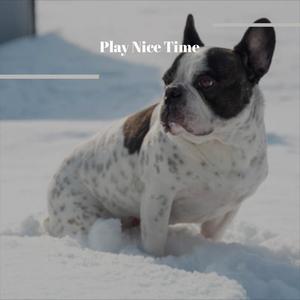 Play Nice Time