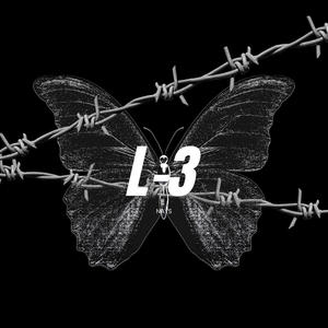 L-3 (Explicit)