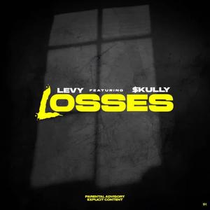 Levy (losses) (Explicit)