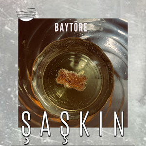 Şaşkın
