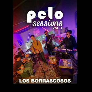 los borrascosos pelo session vol.1