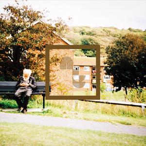 Morphogenetic Fields