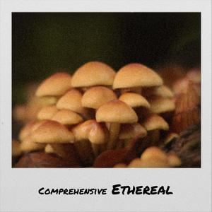 Comprehensive Ethereal