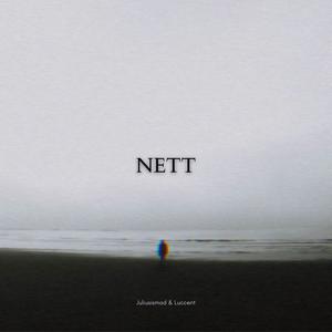 Nett (Explicit)