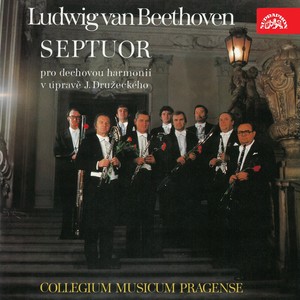 Septet in E-Flat Major, Op. 20 - IV. Tema. Andante con Variazioni