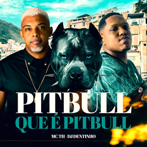 Pitbull Que É Pitbull (Explicit)