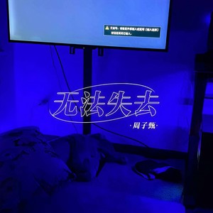 无法失去封面