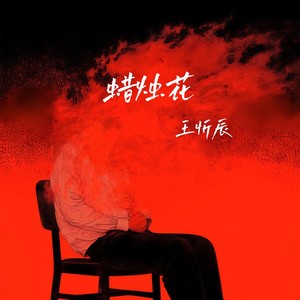 蜡烛花封面