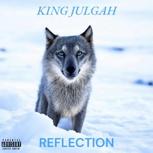 Reflection (Explicit)