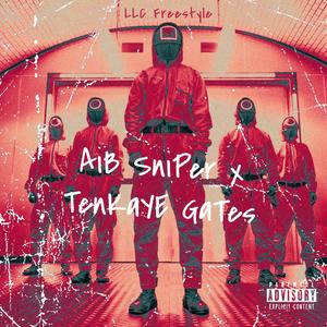 LLC Freestyle(feat. AiB Sniper) (Explicit)