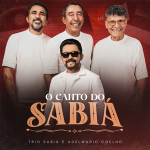 O Canto do Sabiá