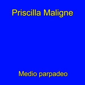 Medio parpadeo