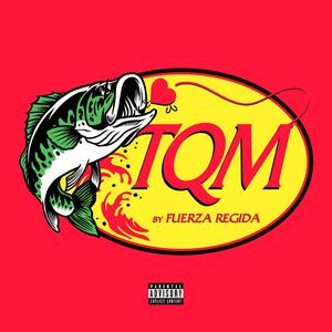 TQM (Explicit)