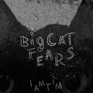 Big cat fears