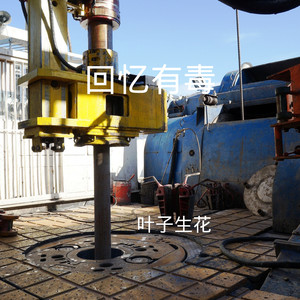 叶子生花 - 寂寞烟火