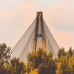 Belvedere (Original Mix)