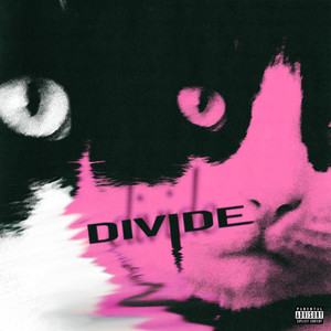 divide (Explicit)