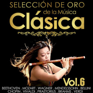 Selección de Oro de la Música Clásica. Vol. 6