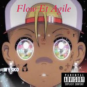 Flow Et Agile (Explicit)