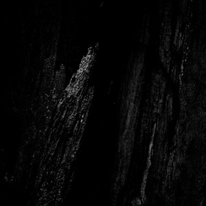 Overcoming Obstacles