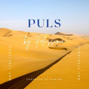 Puls (feat. Dentro)