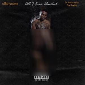 All I Ever Wanted (Explicit)