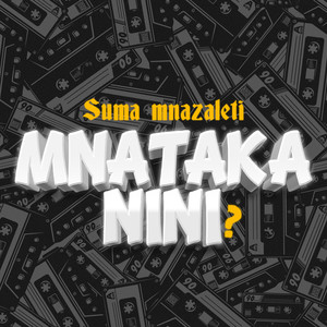 Mnataka Nini