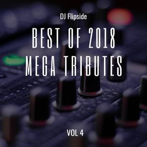 Best of 2018 Mega Tributes Vol 4