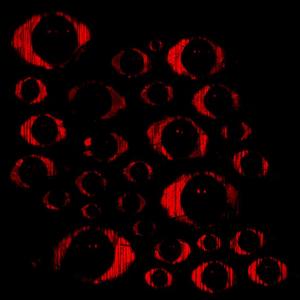 ALERTA ROJA (feat. Frandy Dz & Moisxs Mvsic) (Explicit)