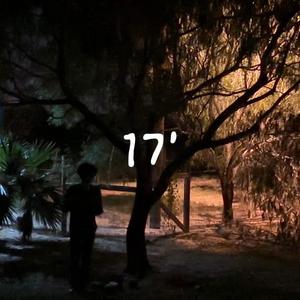 17