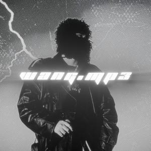 No Pole (Slowed & Reverb) (TikTok Version)