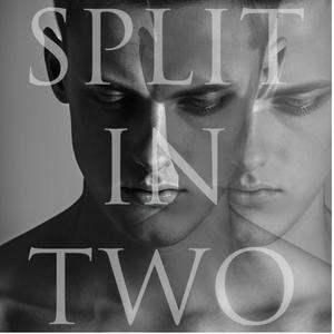 Split in two (Explicit)