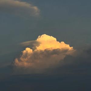 浪子梦人 - 理智战胜内心