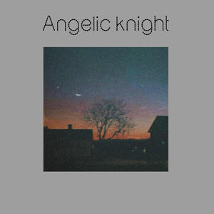 Angelic Knight