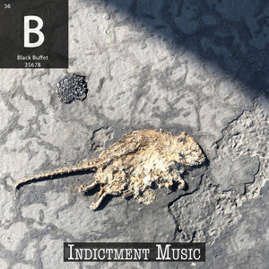 Indictment Music (Explicit)