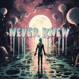 Never Knew (feat. Madison Arruda)