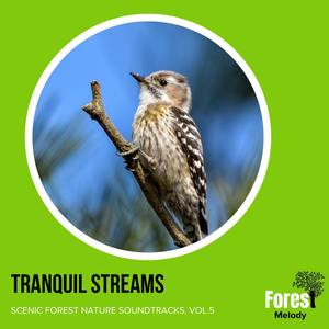 Tranquil Streams - Scenic Forest Nature Soundtracks, Vol.5