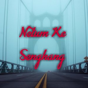 Netum Ke Senghang (Inst.)