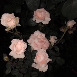 被动 女声吉他弹唱