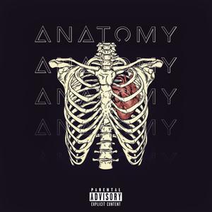 ANATOMY (feat. Rich Wave & KINAYDUH) [Explicit]