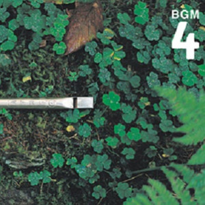 The Last Rose of Summer