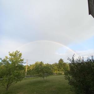 Vibin remix (Explicit)