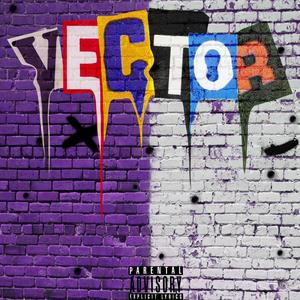 Vector (Explicit)